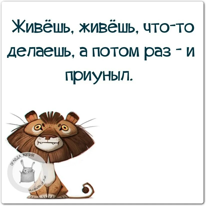 Правда жизни ответ. Смешные цитаты с картинками правда жизни. правда жизни цитаты. прикольные фразы правда жизни. правда жизни приколы.