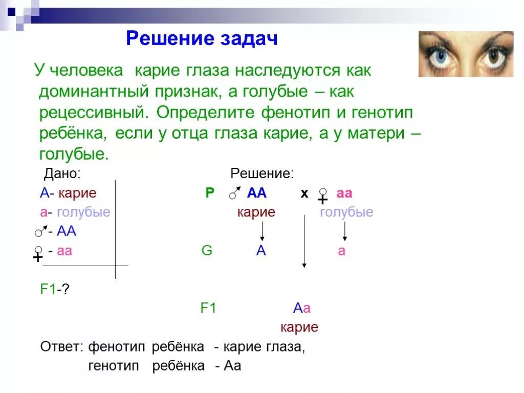 Курчавые волосы доминантный признак. Решение задач на генетику. Биология задачи генетические задачи 9 класс с решением. Задачи по генетике с 2 признаками. Типы задач по генетике схема.