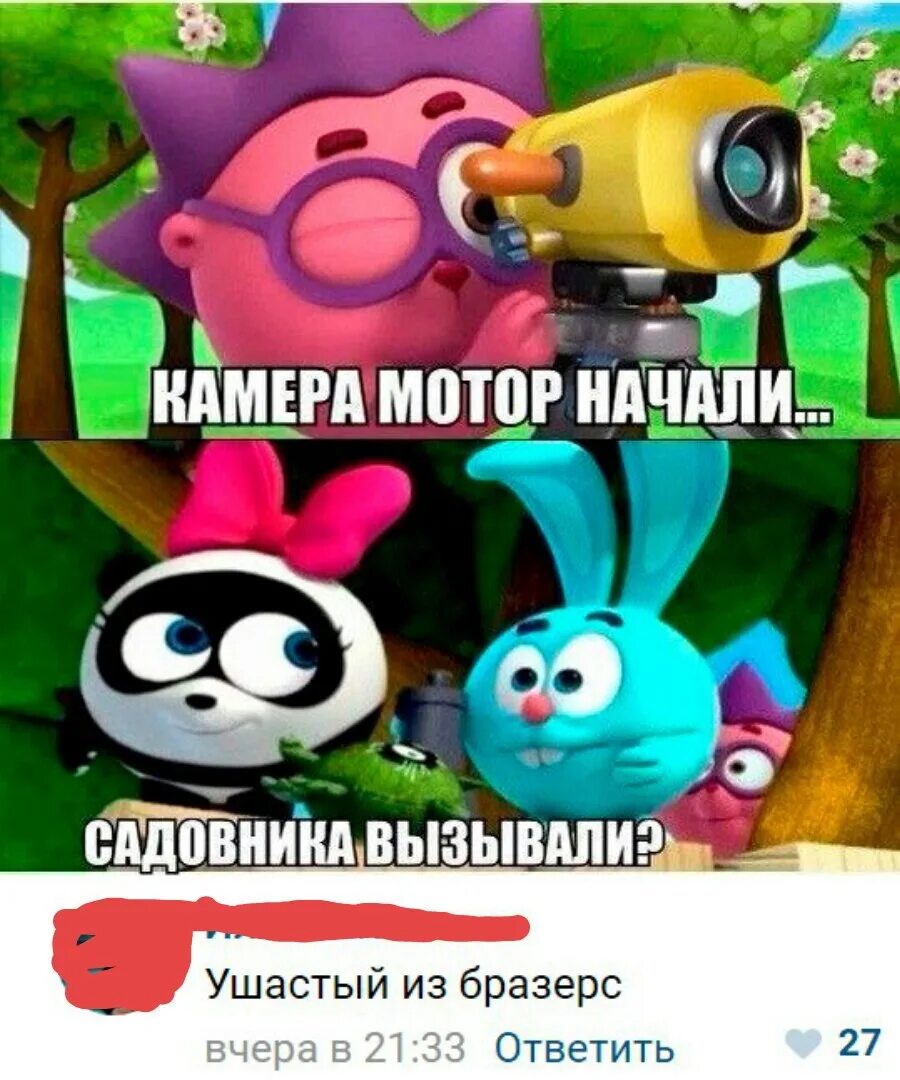 Мем смешариков смотришь. Смешарики приколы. мемы про смешариков. смешные приколы про смешариков. смешарики мем.