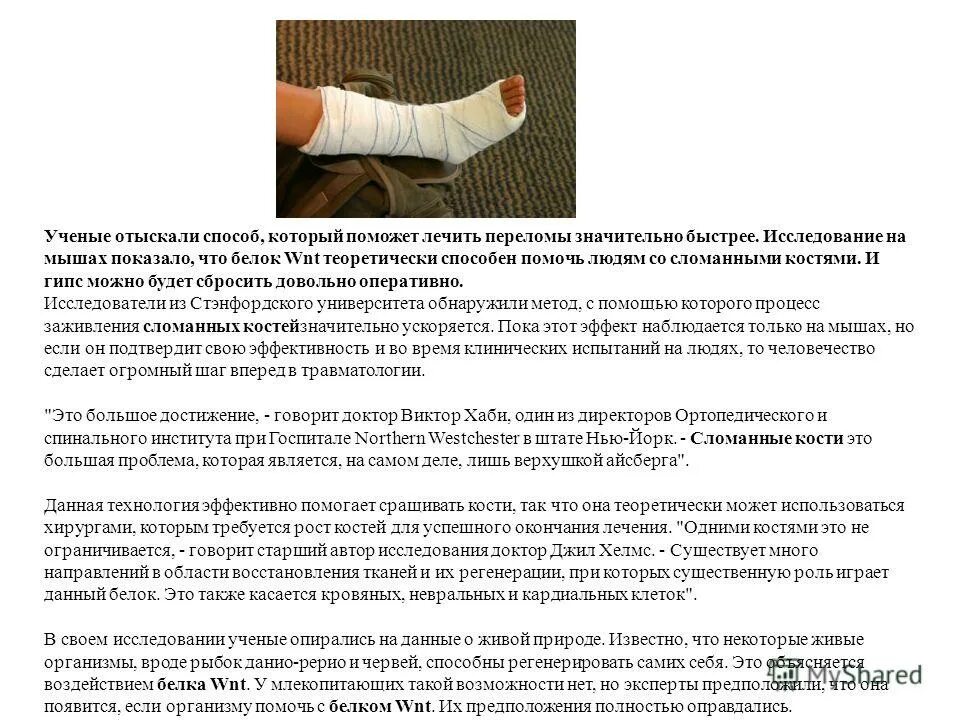 Сроки сращения костей таблица у взрослых Картинки СРАСТАНИЕ КОСТЕЙ ПРИ ПЕРЕЛОМЕ СРОКИ