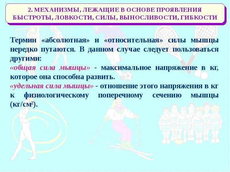 Закономерность развития физических качеств. Механизмы развития ловкости. люди у которых особенно развиты сила ловкость. спортсмены у которых развита сила ловкость выносливость. люди которые есть сила ловкость выносливость.