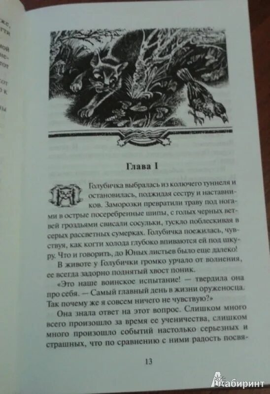 Коты воители знамение луны. Коты воители золотая коллекция голоса в ночи знамение луны. Читать коты воители знамение луны. Знамение луны хантер коты воители. Читать коты воители знамение луны.