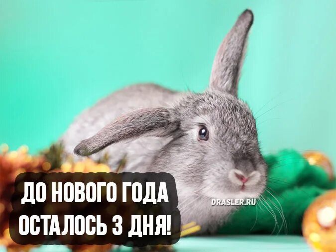 До нг осталось 3 дня. До нового года осталось 3. До нг осталось 3 дня. До нового года осталось 3 дня. Открытки до нового года осталось 2 дня.