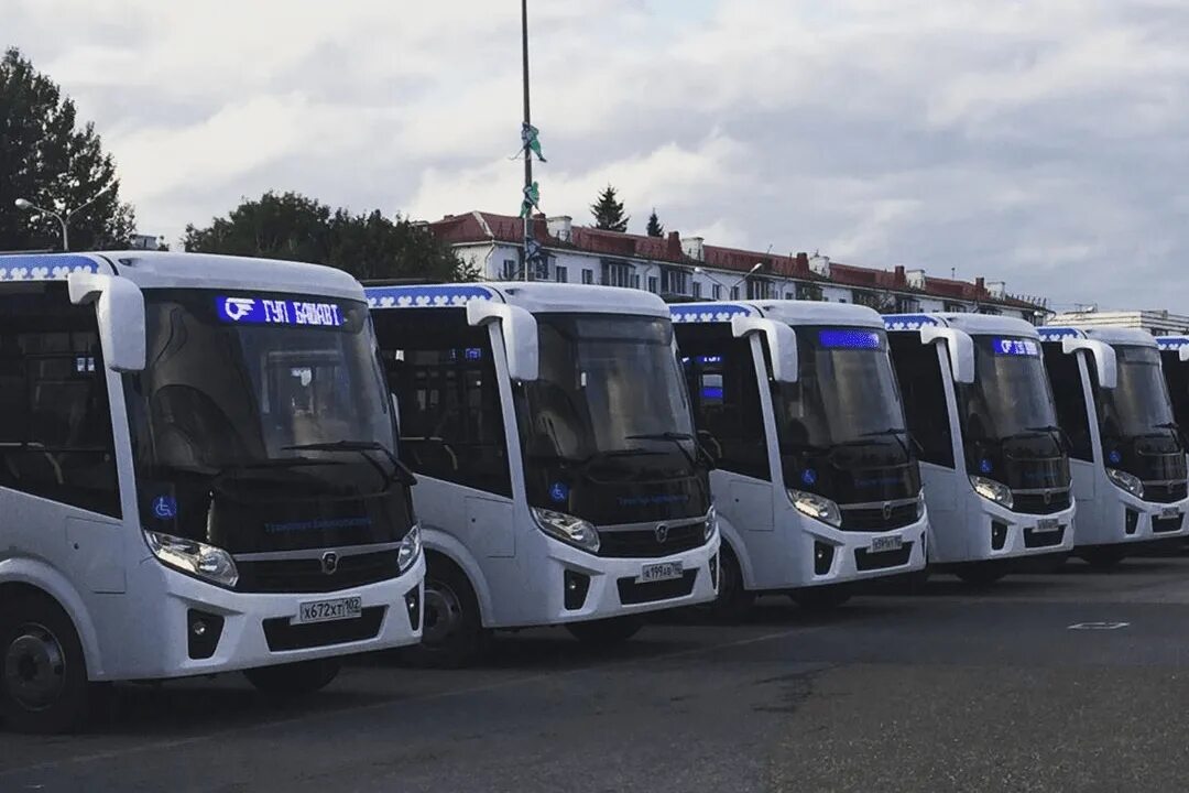 маз 206. волгабас 5270 владимир. камаз 62825. нефаз 5299 2022. нефаз 5299 синий.