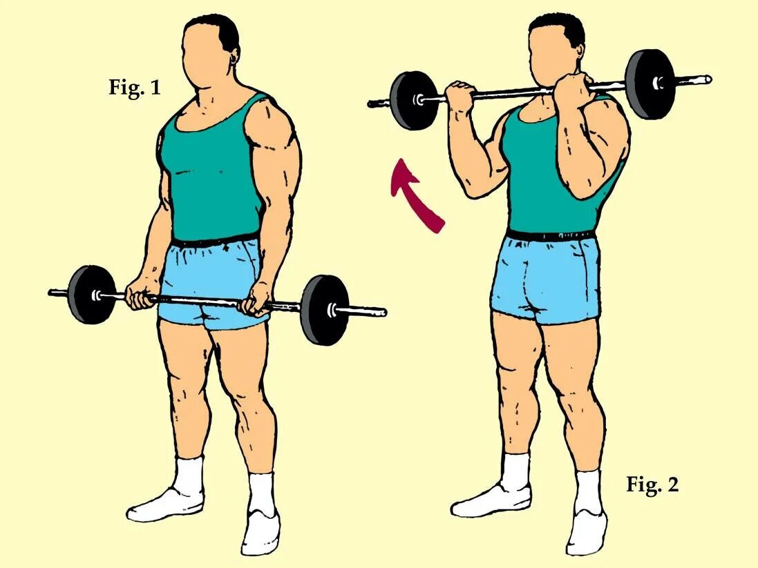 Гантели обратным хватом. Подъем прямой штанги на бицепс. Подъем штанги на бицепс стоя. Подъем штанги перед собой обратным хватом. Упражнение на бицепс со штангой стоя.