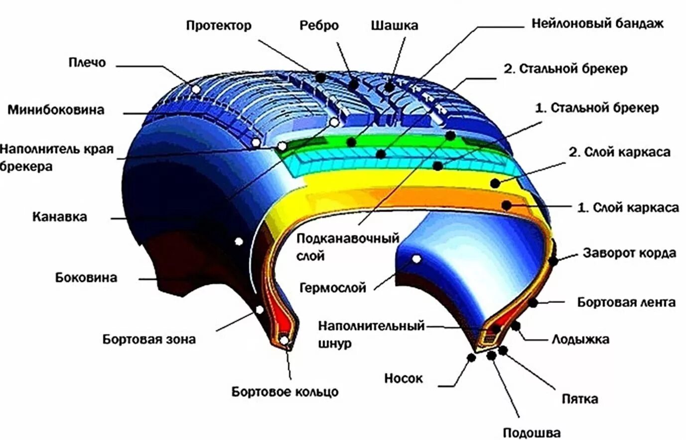 Основные элементы шины. Строение бескамерной шины. Конструкция автошины легкового автомобиля. Структура автомобильной шины. Строение шины