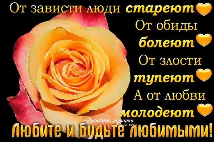 Завидую тем людям