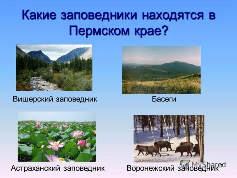 Какой природной зоне находится пермский край. Рассказ о заповеднике Пермского края. Заповедники и национальные парки Пермского края. Какие заповедники в Пермском крае. Заповедники в Пермском крае названия.