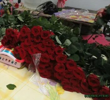 В цвет новороссийск