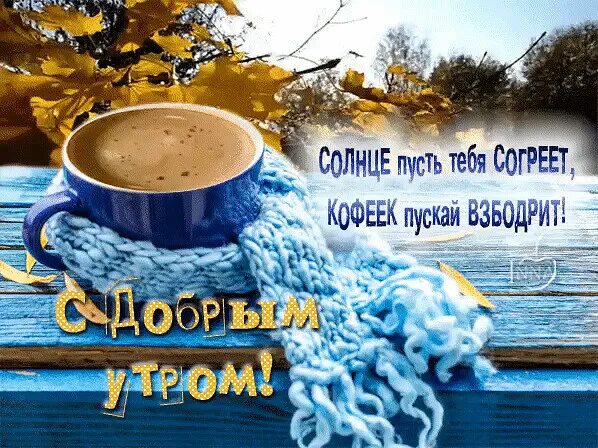 Доброе утро 20 ноября 2025. 20 октября с добрым утром. доброе ноябрьское утро . удачного дня и позитивного настроения. с добрым утром 18 ноября. доброе утро 10 ноября.