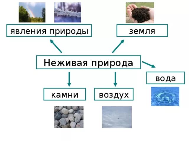 Почему кремний называют элементом неживой природы. Неживая природа. Воздух это объект неживой природы. Неживая природа земля. Вода это объект живой или неживой природы.