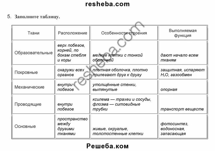 Решебник Обществознание 11 - 66 фото и картинок