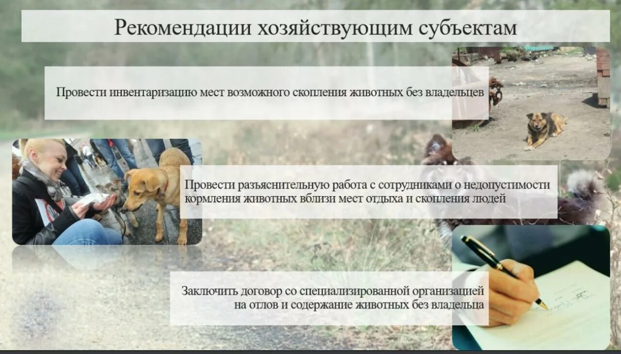 Ответственное содержание животного