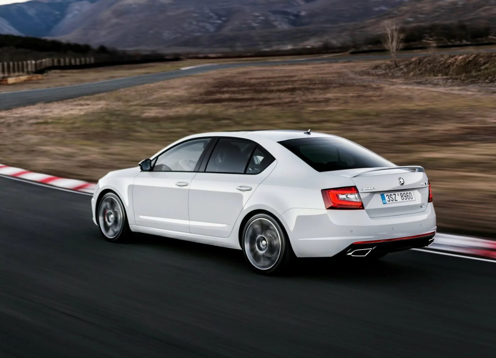 Skoda Octavia RS 2017. Škoda Octavia RS 2019. Skoda octavia rs 2024