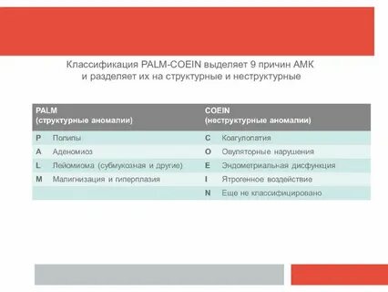 Систематика пальмы
