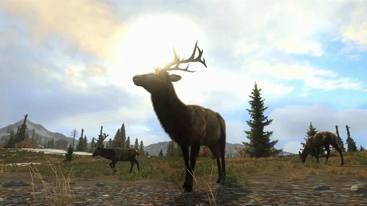 Game hunters игра. Охота Cabela's big game Hunter. Hunter 2014 игра. Cabelas охотничий симулятор. Cabela's big game Hunter: Pro hunts 2014.