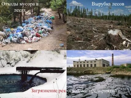 Природа не пропустит