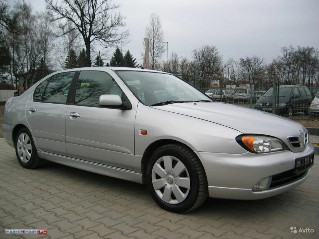 Ниссан примера 2000 год. Nissan primera седан 2000. Ниссан примера 2000г. Ниссан премьера 2000г. Ниссан премьера 2000 седан.