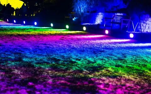 Colorful night