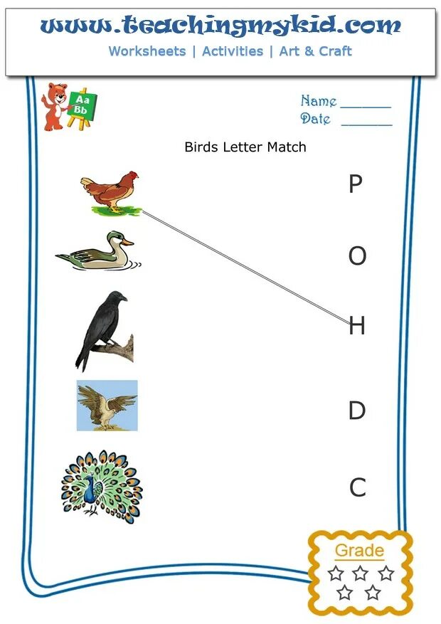 Тема птицы на английском для детей. Птицы на английском упражнения. Птицы на английском языке задания. Birds tasks for Kids.