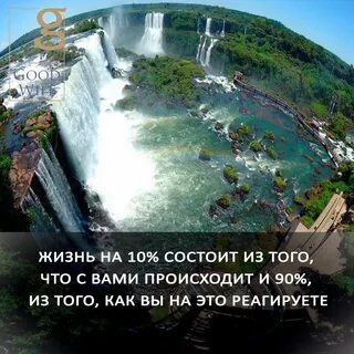 Жизнь состоит из 10
