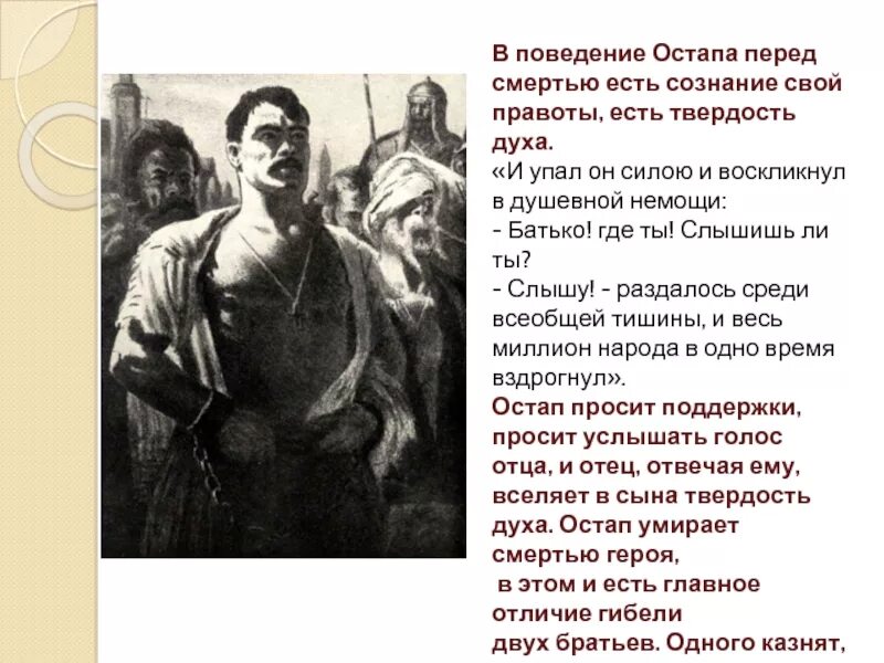 Отец андрия и остапа 5. Поведение остапа. поведение остапа перед смертью. тарас бульба остап перед смертью. поведение остапа из тараса бульбы.
