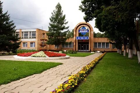 Фгбу дс васильевское