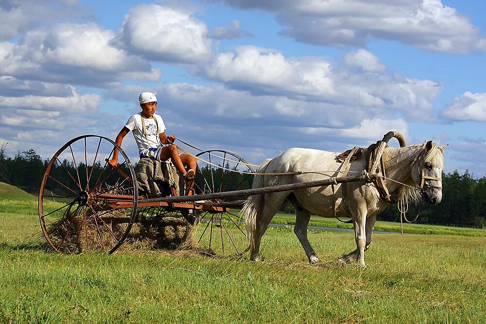 Farming 24