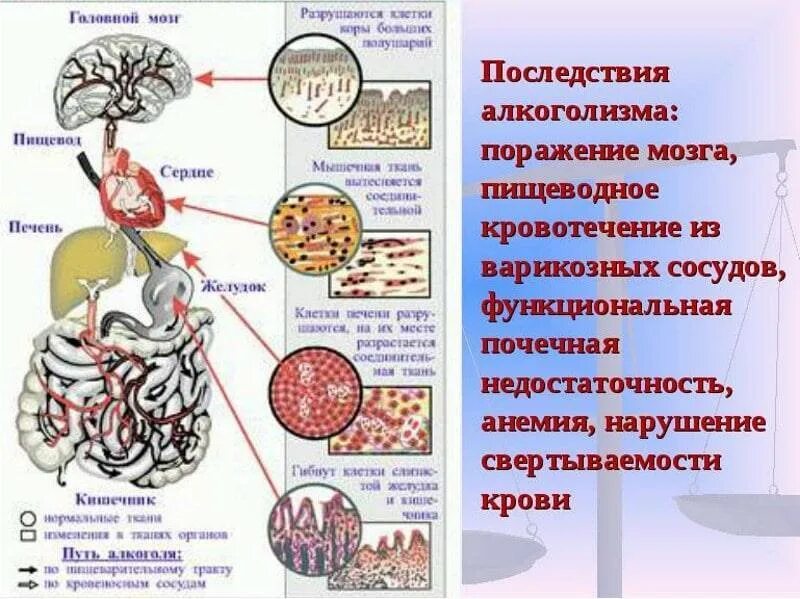 Может ли после кодировки