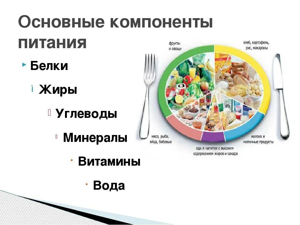 Рацион питания белки жиры углеводы схема. Схема правильного питания белки жиры углеводы. Рациональное питание белки жиры углеводы. Основы рационального питания белки жиры углеводы. Как изменяются белки жиры и углеводы