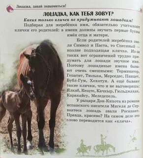 Конь какие имена
