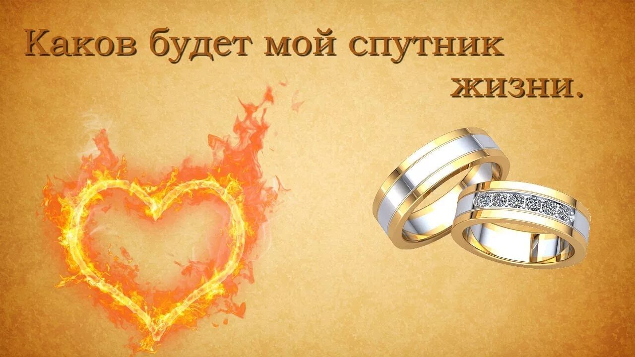 мой спутник. мой спутник слушать. Black телеканал. мой спутник горький иллюстрации. б.