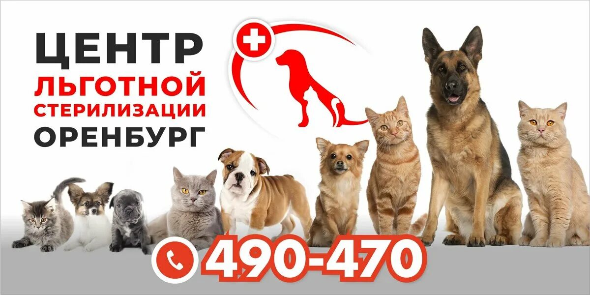 центр льготной стерилизации иркутск бабушкина. льготная стерилизация оренбург. центр льготной. иркутск ул бабушкина-18. кирова 97 абакан.