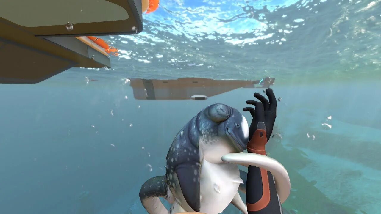 Пискун субнаутика. Акула кальмар subnautica. Сабнатика 3. Пискун рыба сабнатика. Сабнатика ласка.