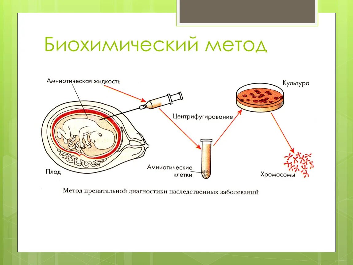 Биохимический метод исследования используется для изучения. Биохимический метод. примеры биохимического метода. биохимический метод исследования. биохимический метод примеры.