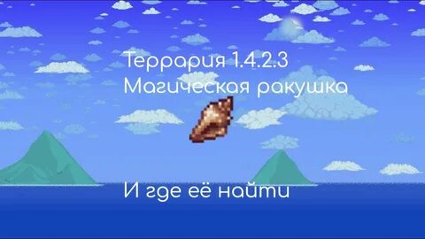 Террария ракушка