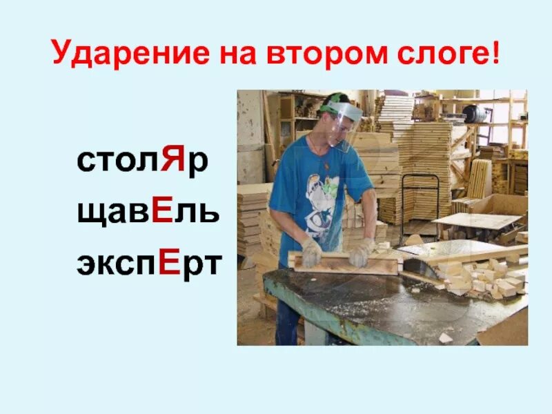 Столяр во множественном числе. Столяр ударение. стол ударение. столяр столяры ударение. столяр ударение правильное.