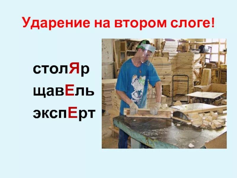 Обеспечение столяр ударение в слове. Столяр ударение. Стола ударение. Столяр столяры ударение. Столяр ударение правильное.