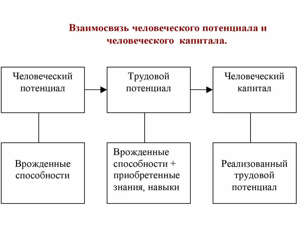 Взаимосвязь человеческого потенциала и человеческого капитала. Человеческий потенциал. Человеческий потенциал и человеческий капитал. Стадии формирования человеческого капитала.