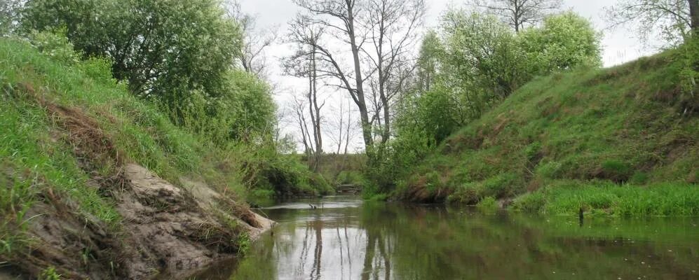 Орловская область знаменский район село. Село Локно Знаменский район Орловская область. Орловская область Знаменский район деревня Кофаново. Михайловка а Знаменский район Орловской области. Деревня Альшанец Знаменского района Орловской.