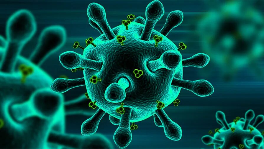 Вирус СПИДА И коронавирус. Бактерия коронавируса под микроскопом. Вирус коронавирус микробиология. Бактерия гриппа.