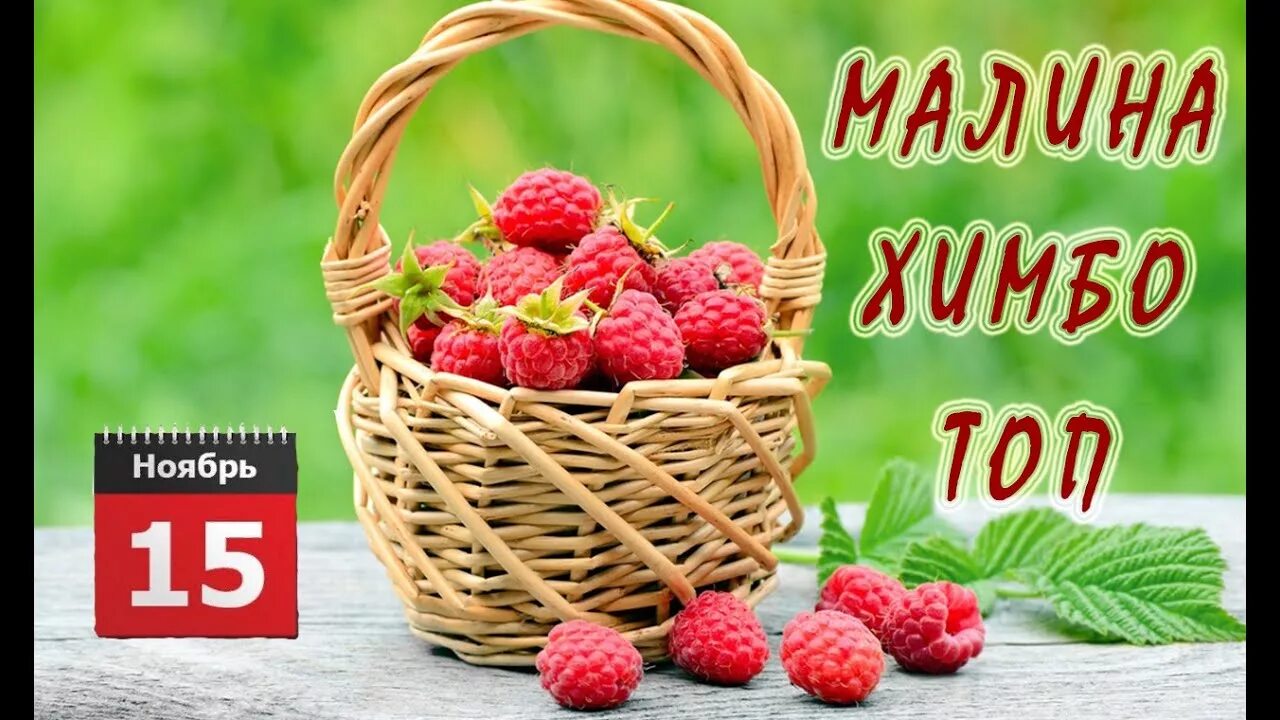 Малины наберем наберем