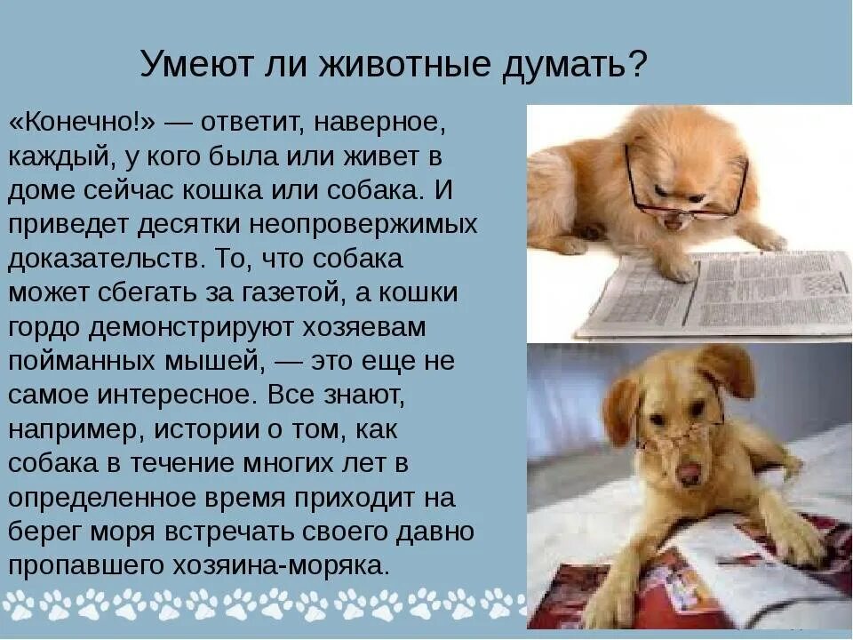 Каждое животное по своему общается