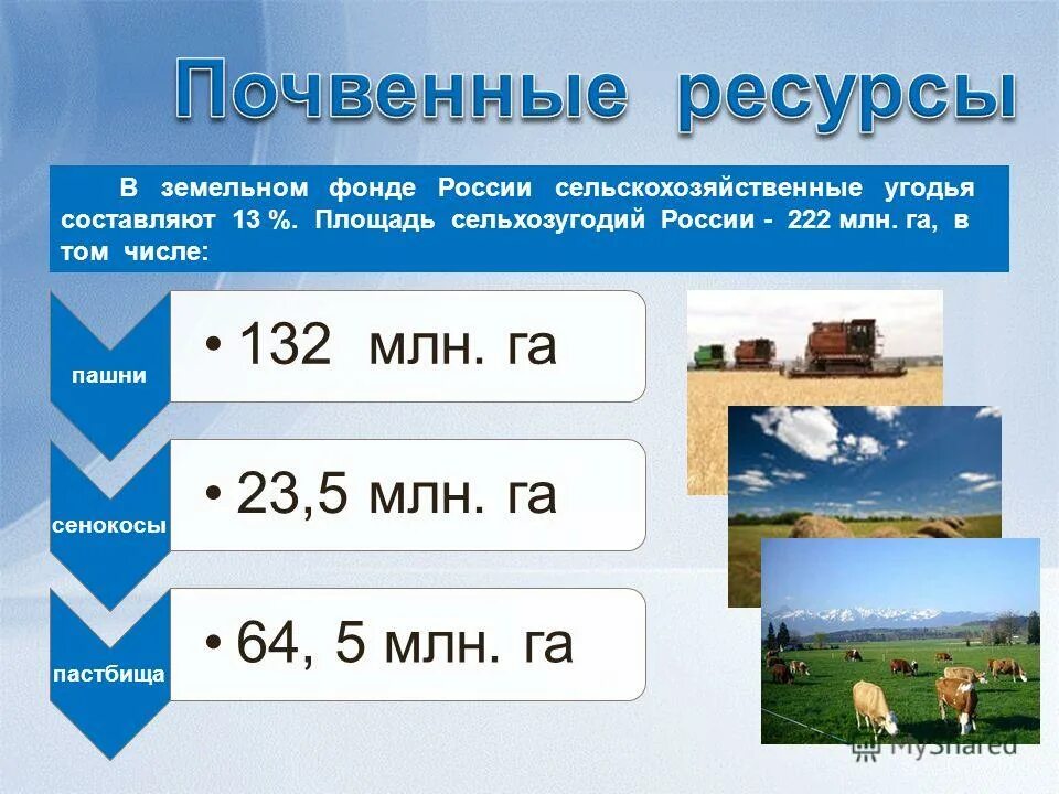 Карта почв восточно-европейской равнины россии. Почва виды ресурсов. Виды земельных ресурсов. Почва виды ресурсов. Почвенно-земельные ресурсы.