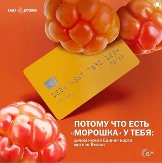 Карта морошка ноябрьск