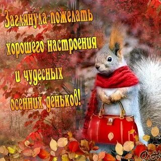 Хорошего денька осень