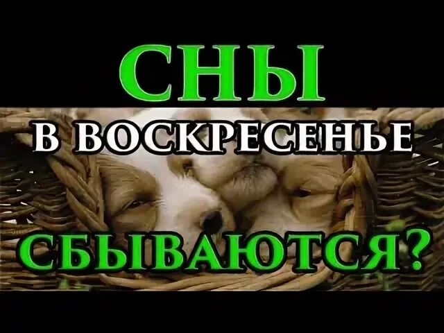 Сон под воскресенье сбывается или нет. Сон под воскресенье сбывается или нет