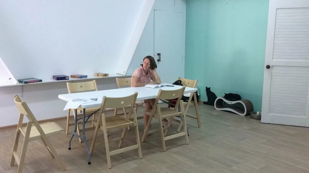 Котокафе муркино. Муркино котокафе. Московская область химки улица горшина 2 котокафе муркино. Кафе муркино. Котокафе муркино, химки.