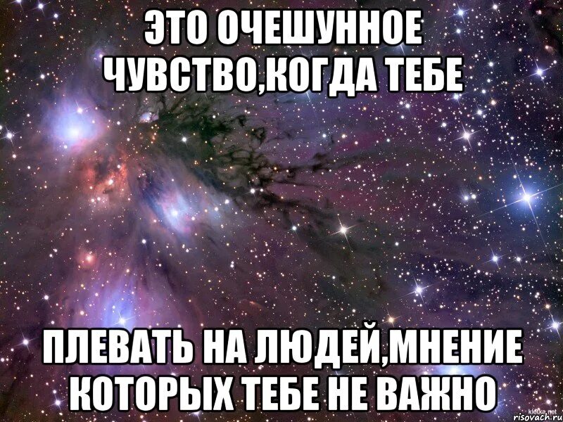 Мем самовлюбленный. Фото девушек со смыслом. Мне плевать на мнение. Лучше прожить всю жизнь одной чем медленно угасать. Статусы мне плевать.