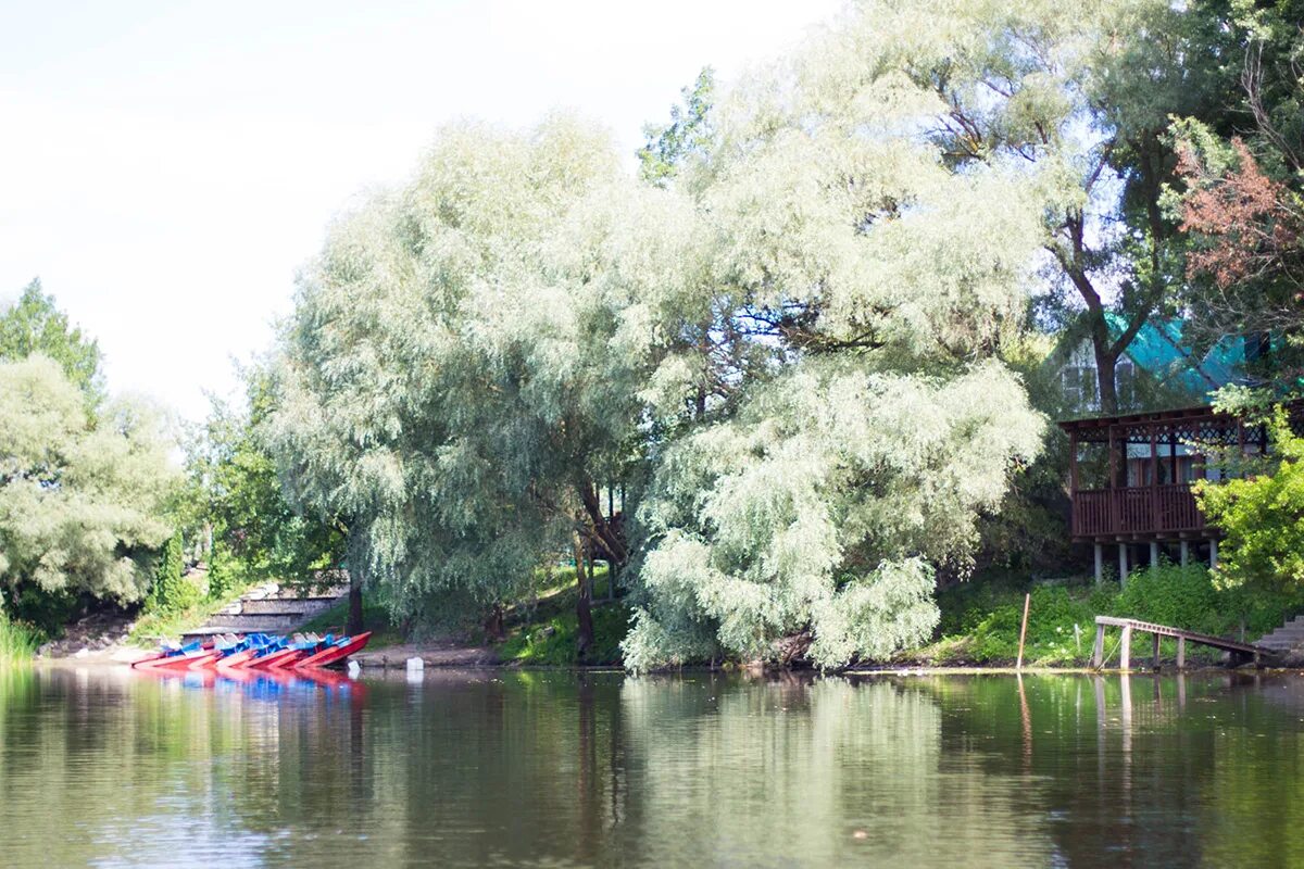 турбаза усманка в новой усмани. турбаза усманка воронеж. усманка турбаза беседка. турбазы на реке усмань. усманка турбаза воронеж.